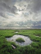 美麗光鮮背后的觸目驚心，這些照片你想到了什么？