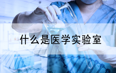 關注|CNAS發(fā)布《醫(yī)學實驗室質(zhì)量和能力認可準則的應用要求》和《醫(yī)學實驗室..